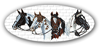 Visit Pinto Horse Association of America, Inc
